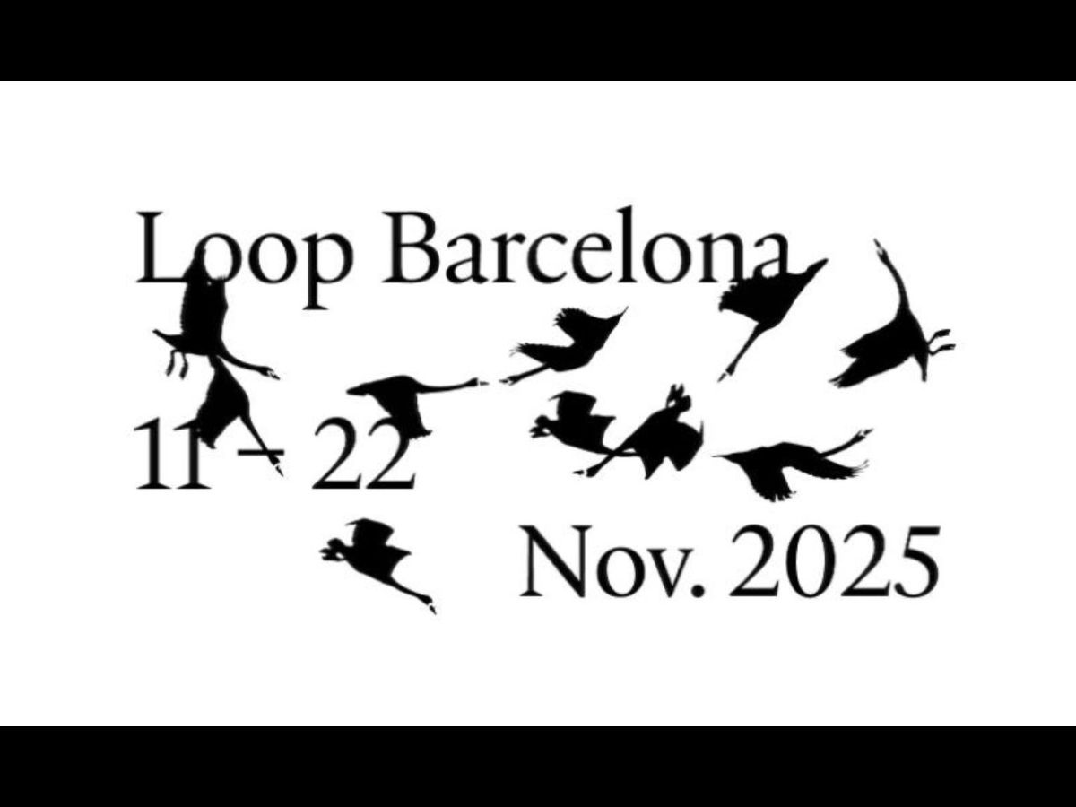 MIRATGES  MIRAGES  – LOOP&nbsp;FESTIVAL