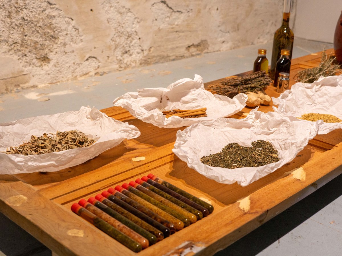 TODAS LAS FUERZAS OCUPAN UN&nbsp;LUGAR