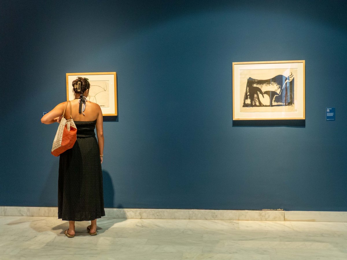 PICASSO – CRETA